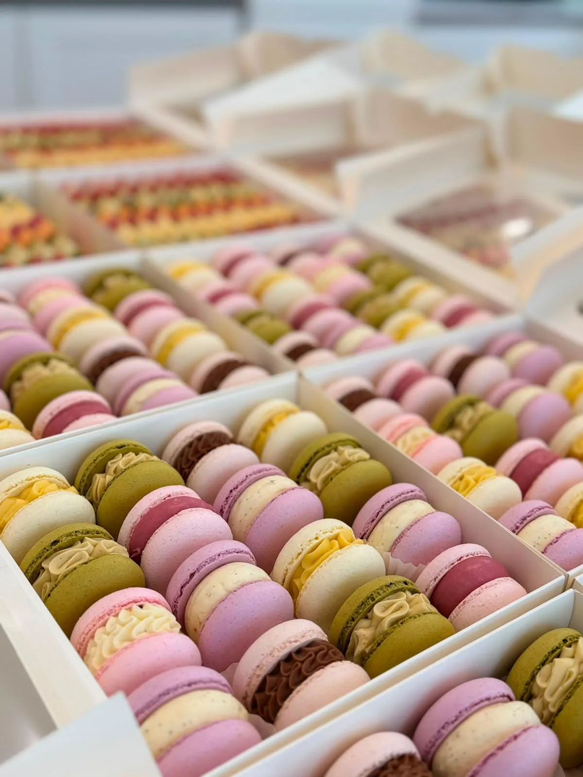 Macarons colorate făcute de Naomi Popadiuc
